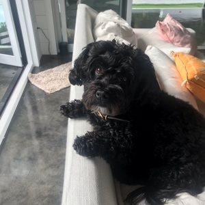 Meet your Posher, Elizabeth